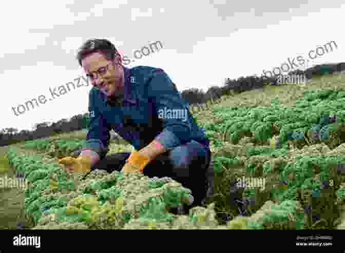 A Farmer Carefully Inspecting A Row Of Organic Vegetables In The Field The Farm That Feeds Us: A Year In The Life Of An Organic Farm