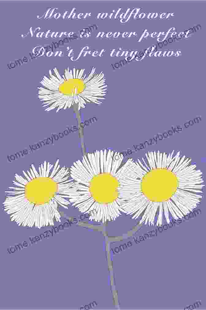 Happy Mother's Day Haiku Book Cover Happy Mother S Day: Haiku Denise Doyen