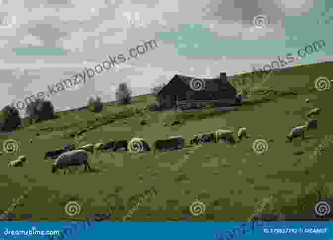 Panoramic View Of An Organic Farm With Rolling Hills, Green Pastures, And A Barn In The Distance The Farm That Feeds Us: A Year In The Life Of An Organic Farm