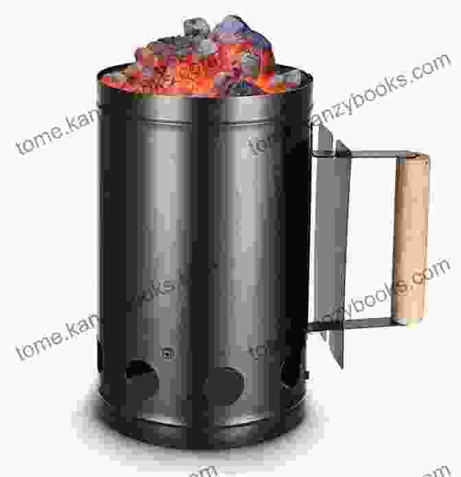 Wipo Flames Charcoal Chimney Starter 2024 WIPO Flames Charcoal Chimney Starter (c) 2024