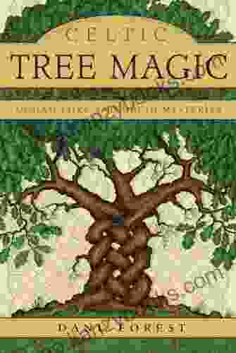 Celtic Tree Magic: Ogham Lore And Druid Mysteries