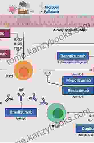 Anti IgE Therapy For Asthma And Allergy: Pocketbook