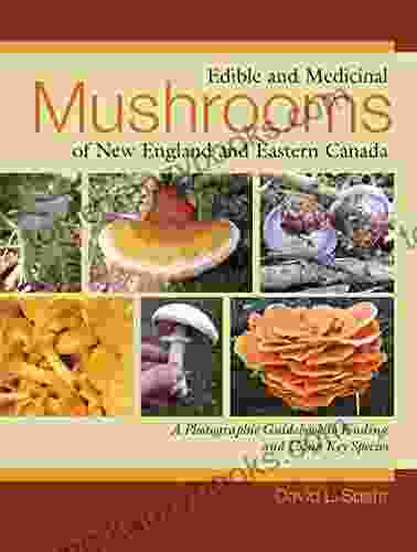 Edible And Medicinal Mushrooms Of New England And Eastern Canada: A Photographic Guidebook To Finding And Using Key Species